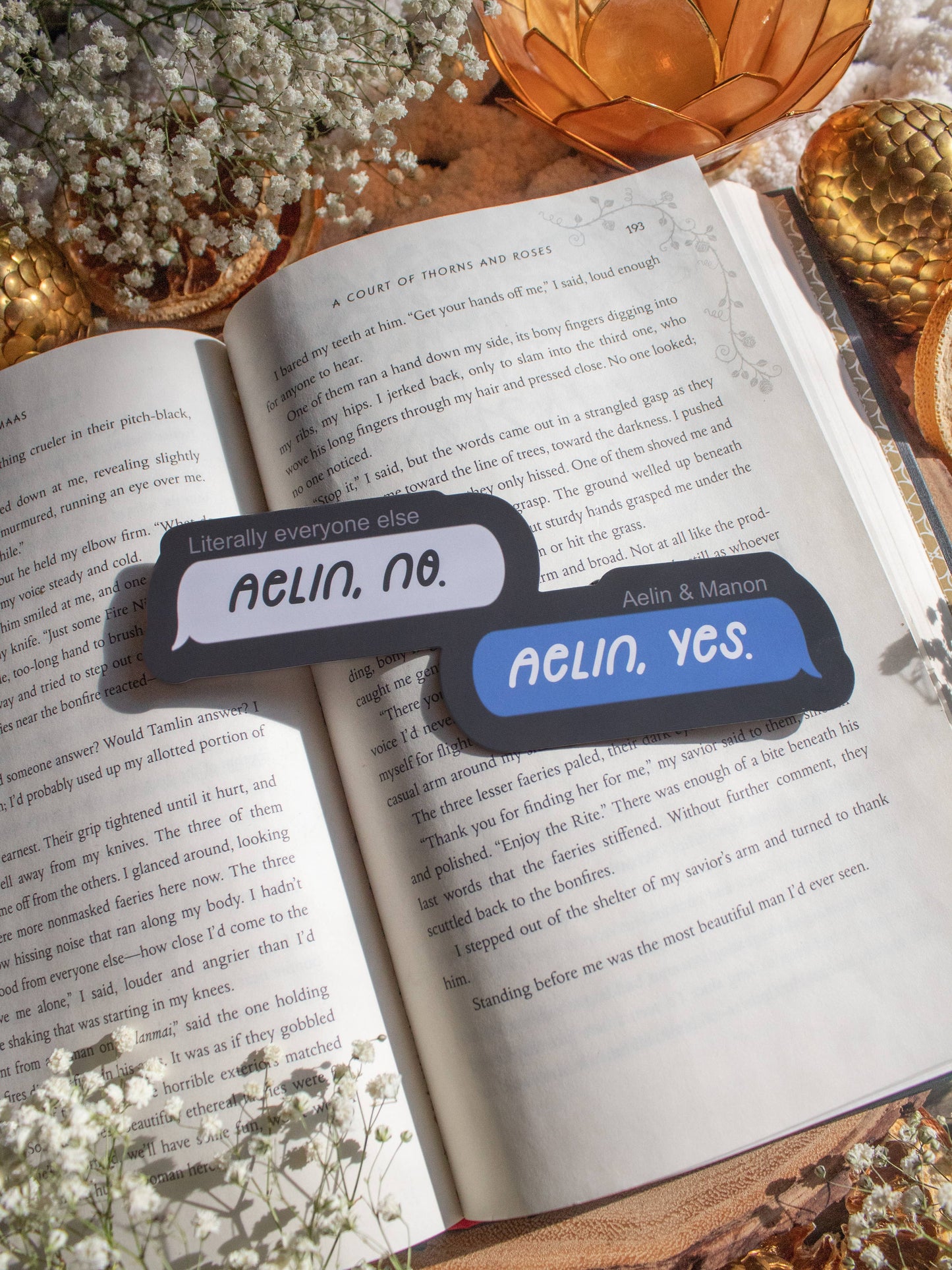 Aelin, No / Aelin, Yes Text Bubble Bookmark | Thone of Glass
