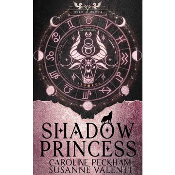 Zodiac Academy 4: Shadow Princess image 0